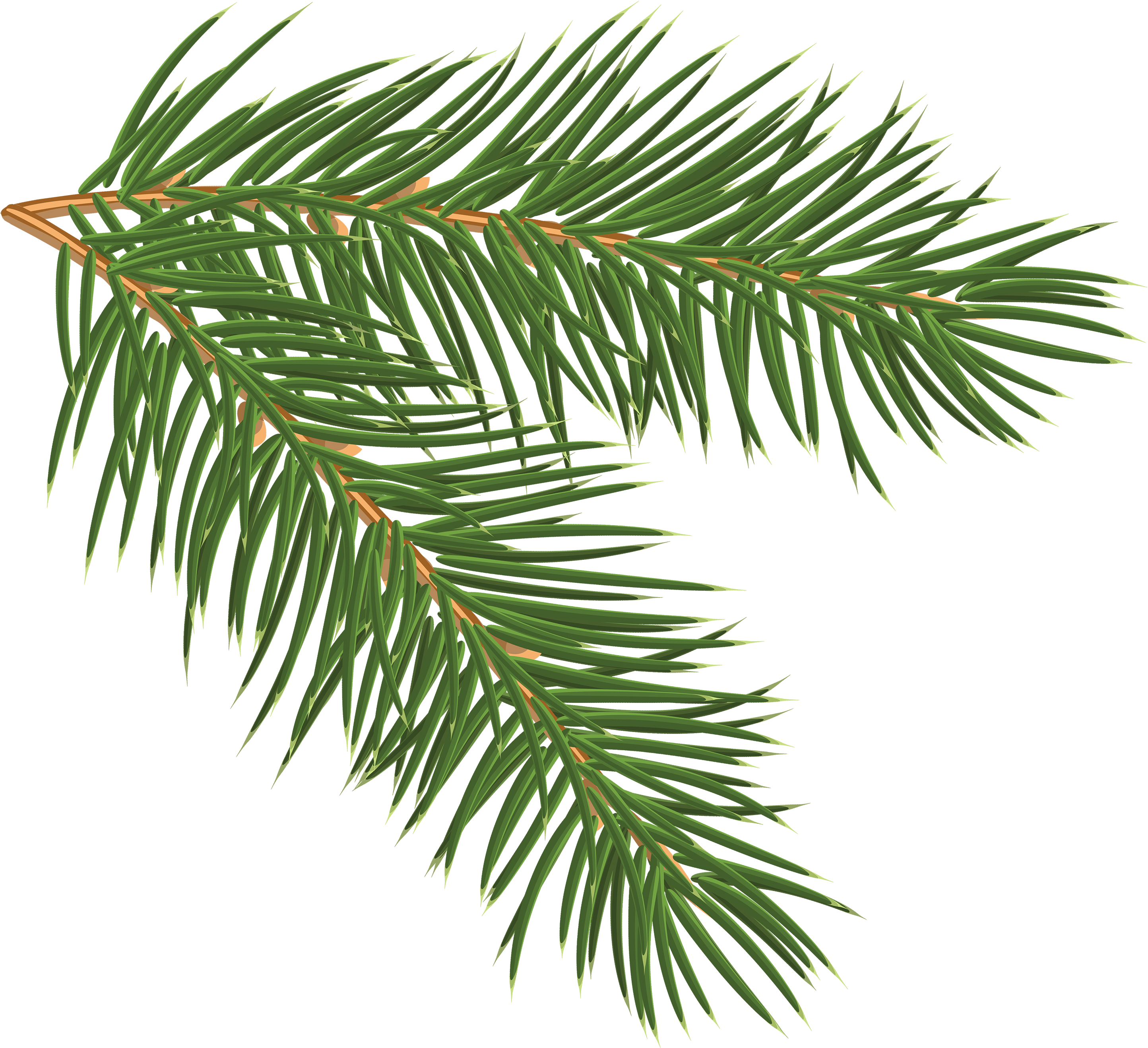 Pine Branch, Christmas Clipart, Silhouette, Scrapbook - Clip Art Pine Branch (3000x2704), Png Download