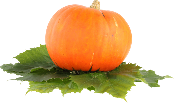 Pumpkin Png Free Download - Pumpkin Png (600x356), Png Download