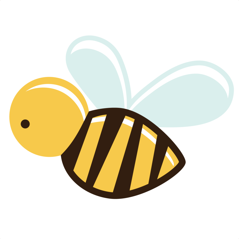 Bee - Bee With Transparent Background (800x800), Png Download