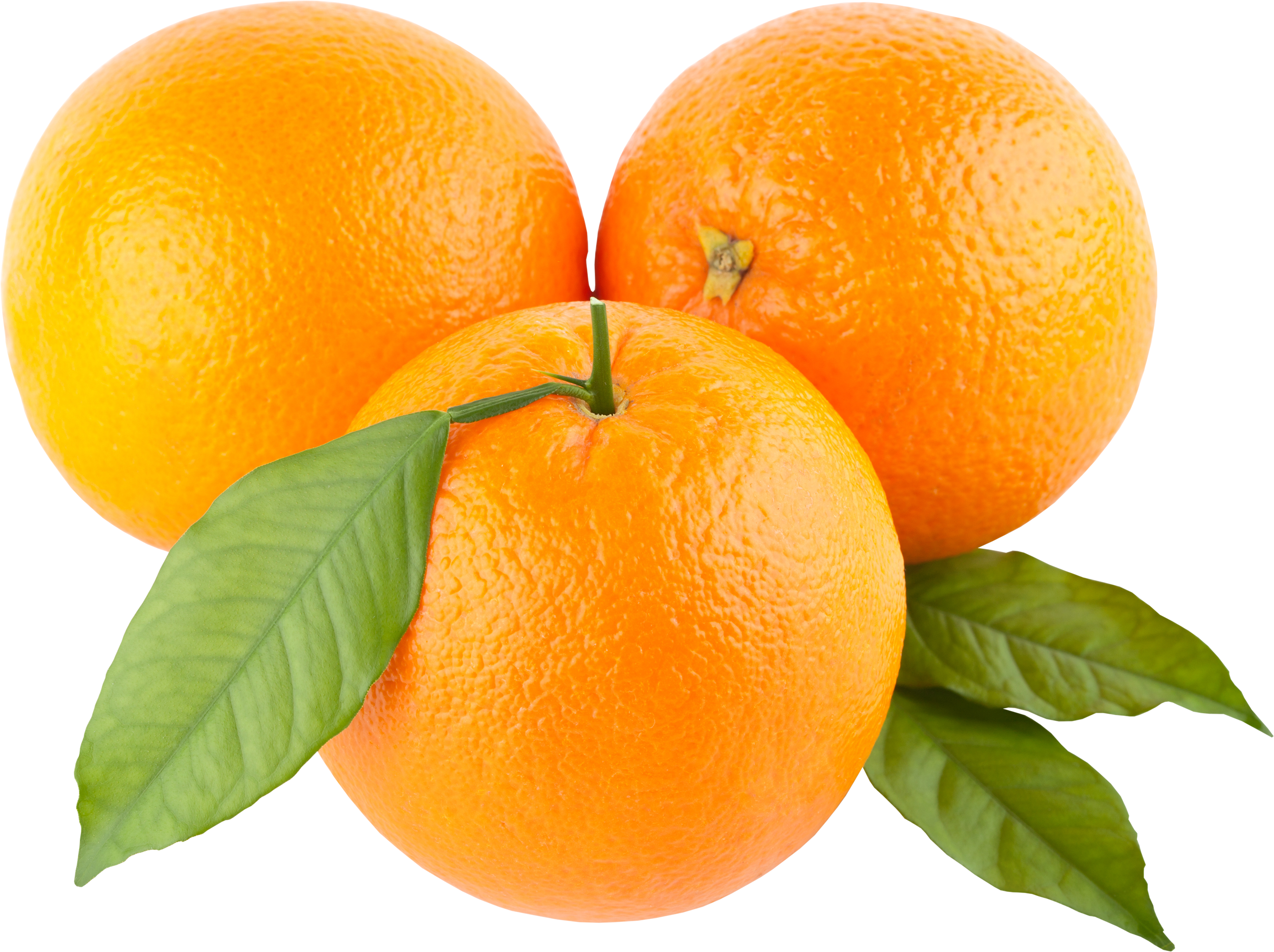 Juicer Orange Manual Squeezer Lime Lemon Heavy Duty (2572x1923), Png Download