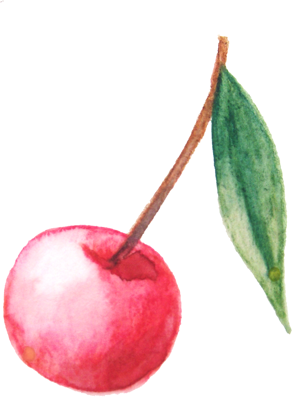 Red Hand Painted Style Cherry Transparent - Cherry (1024x1394), Png Download