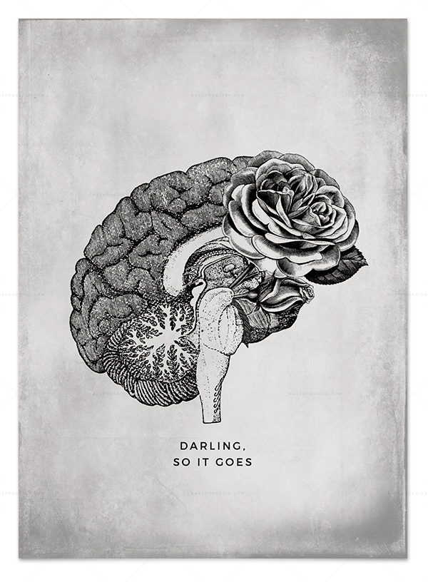 Falling Love Brain - Zazzle Gehirn-anatomie-illustrations-plakat Poster (600x816), Png Download