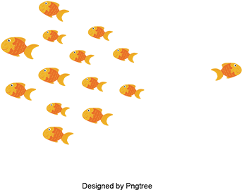 Gold Fish, Fish Clipart, Pet, Shoal Of Fish Png And - Fish (360x360), Png Download