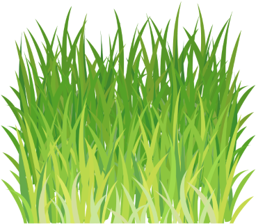 Wheatgrass Juice Powder Amazing - Sweet Grass (400x358), Png Download