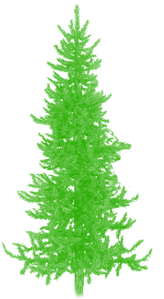Green Tree Clipart Png Vector Psd, Tree Png Plan, Tree - Portable Network Graphics (640x640), Png Download