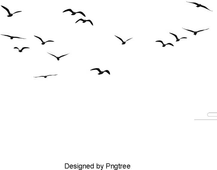 Birds, Animal, Birds Clipart Png Image And Clipart - Birds Flying In The Sky Png (800x800), Png Download