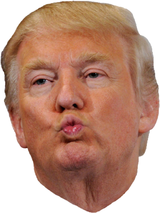 Donald Trump Face Png Png Free Library - Mts Trump Toilet Paper (685x800), Png Download