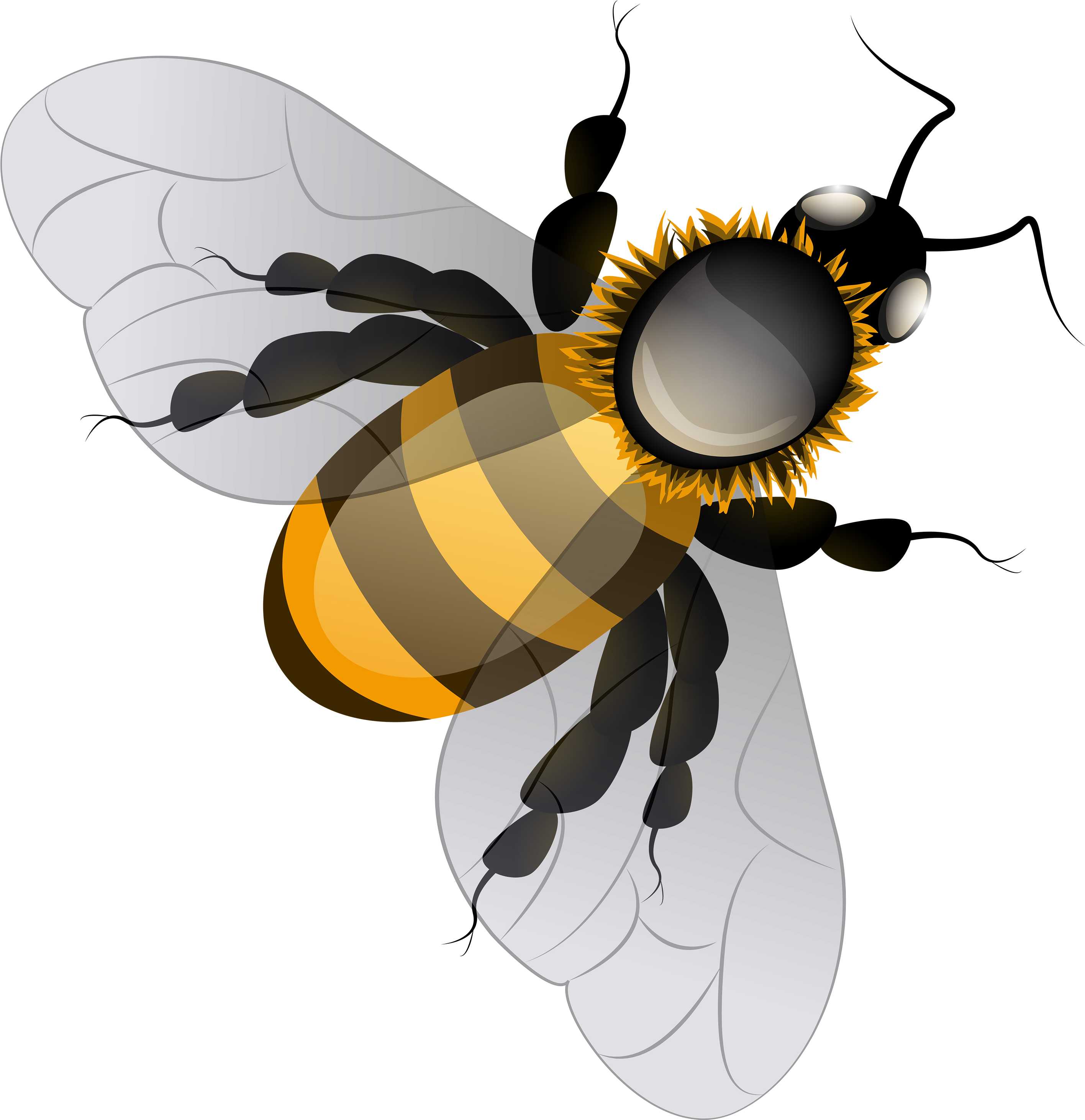 Bee Png Clip Art - Clip Art Bee Png (2907x3000), Png Download