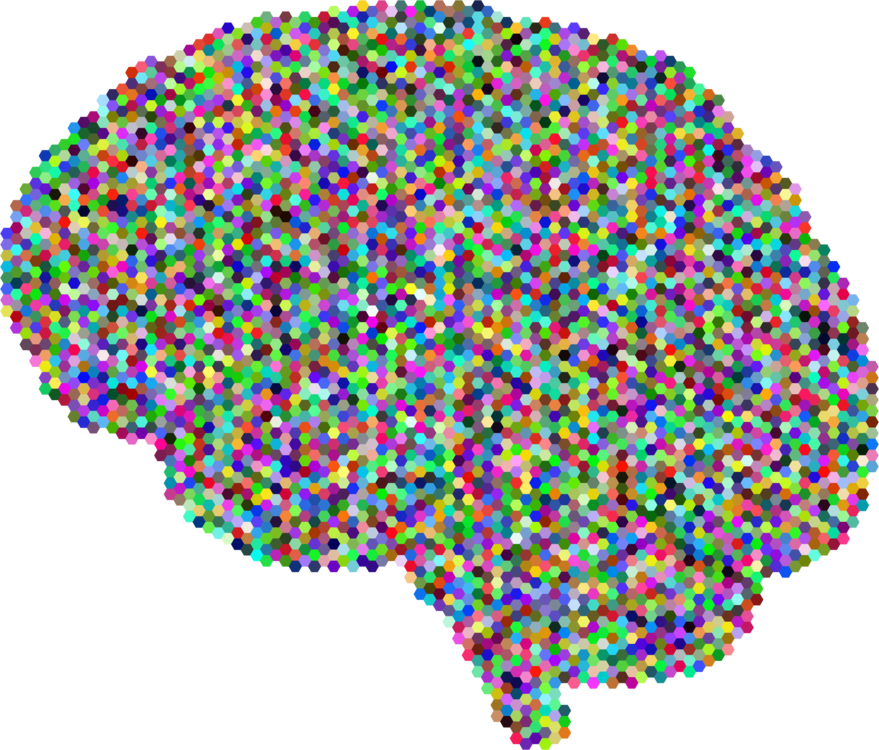 Human Brain Computer Icons Drawing Skull - Colorful Brain No Background (879x750), Png Download