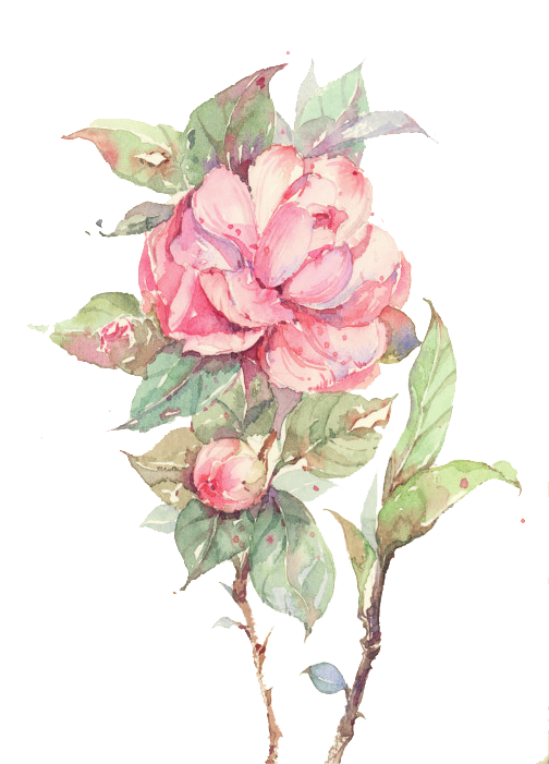 Download Amazing High-quality Latest Png Images Transparent - Watercolor Painting (515x700), Png Download