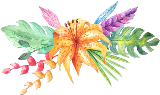 Tropical Watercolor Png - Tropical Flower Watercolor Png (600x400), Png Download