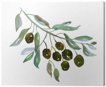 Olive Tree Branch On White Background Illustration - Olive Branch Watercolor Png (400x400), Png Download