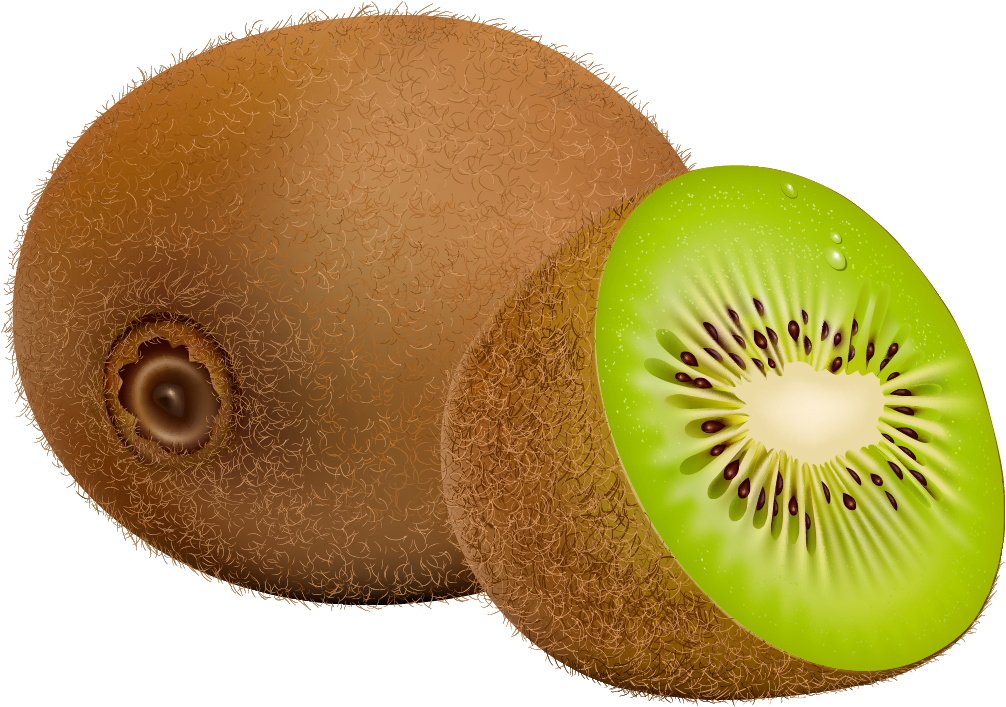 Kiwi Fruit Png Clipart - Kiwifruit (1027x722), Png Download