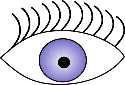Googly Eyes Human Eye Eye Color Visual Perception - Eye Clip Art (501x340), Png Download