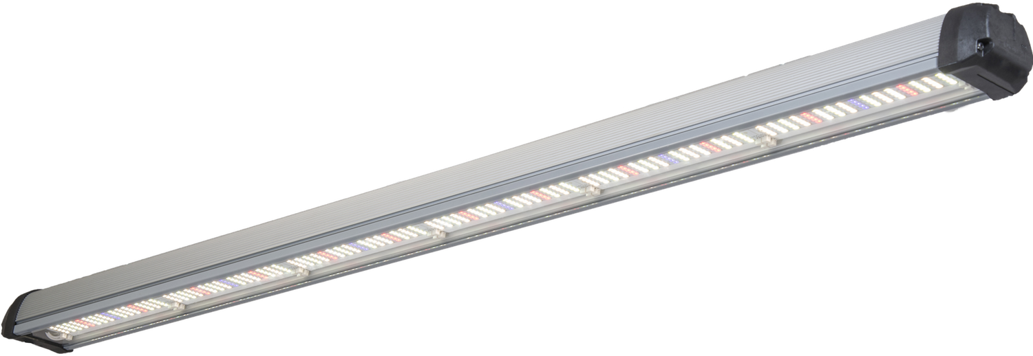 Led Grow Lights - Myoffice ペンケース 透明 ペン用 ギフトパッケージ ケース (1500x537), Png Download