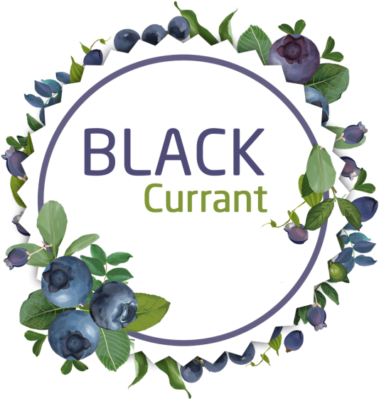 Decorative Watercolor Black Currant Wreath Stickers, - Psd (640x640), Png Download