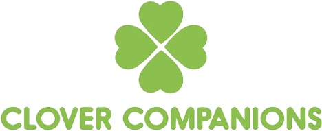 What We Do - Shamrock (506x455), Png Download