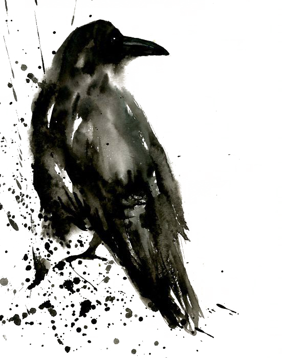 Clipart Transparent Download Common Raven Painting - Crow Watercolor Painting (551x699), Png Download