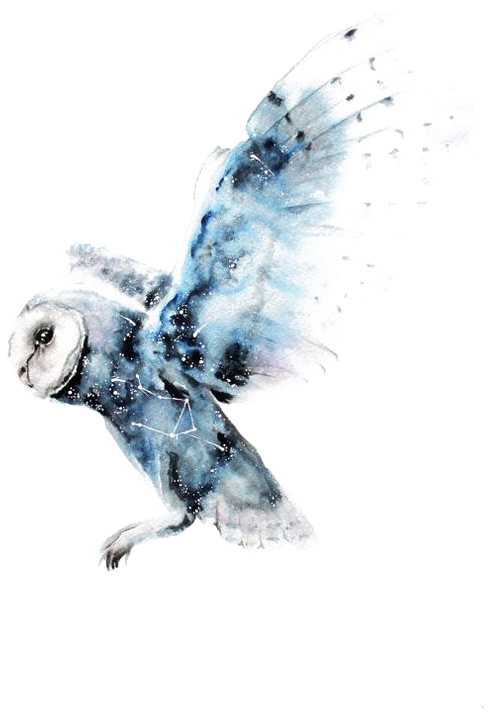 Clip Transparent Library Drawing On Watercolor - Rabidzen All I Am (564x797), Png Download