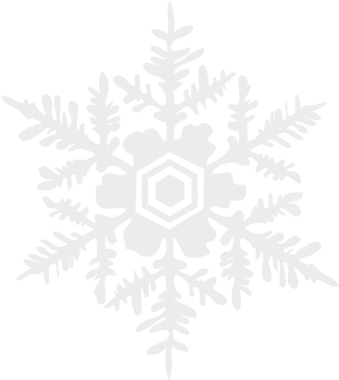 Snowflake - Illustration (339x380), Png Download