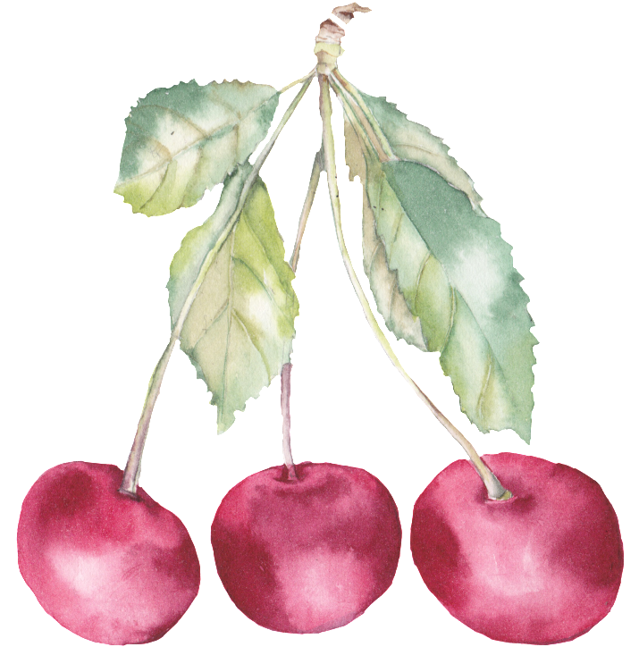 水彩画 水果 (1024x897), Png Download