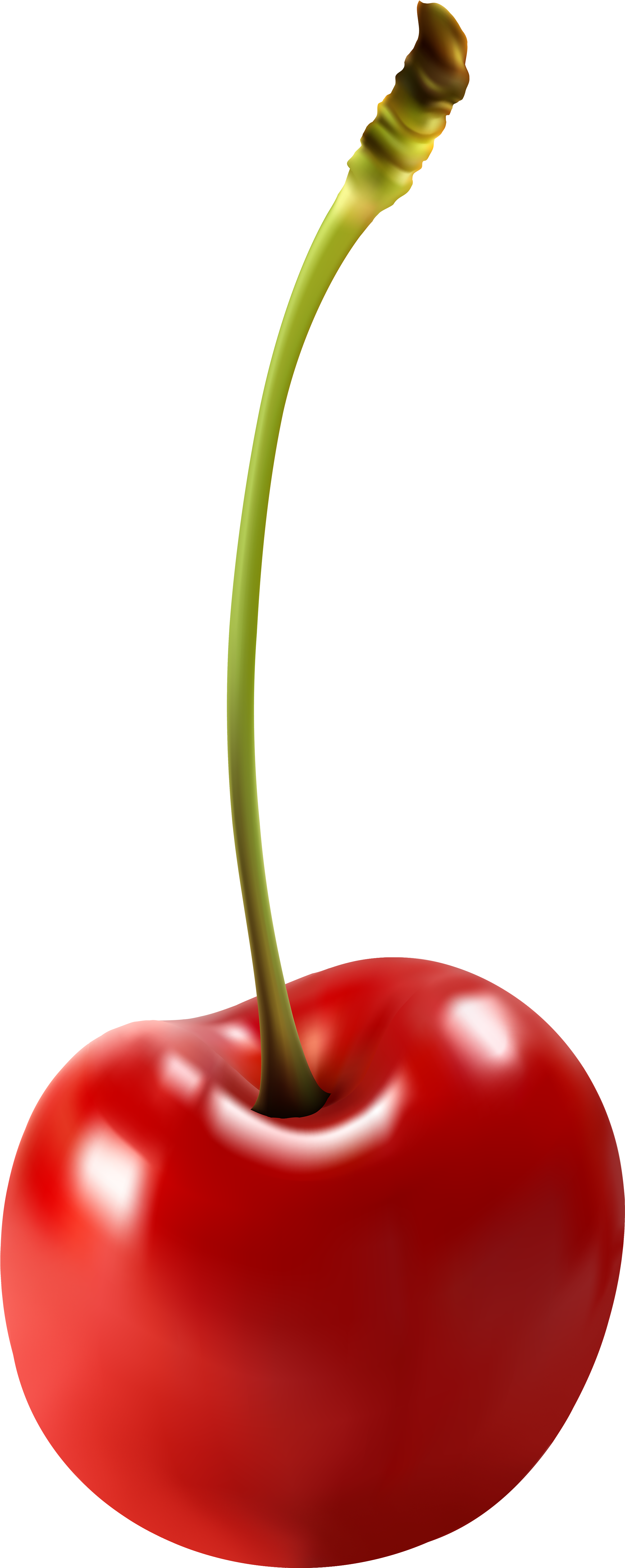 Cherry Clipart Png (2432x6000), Png Download