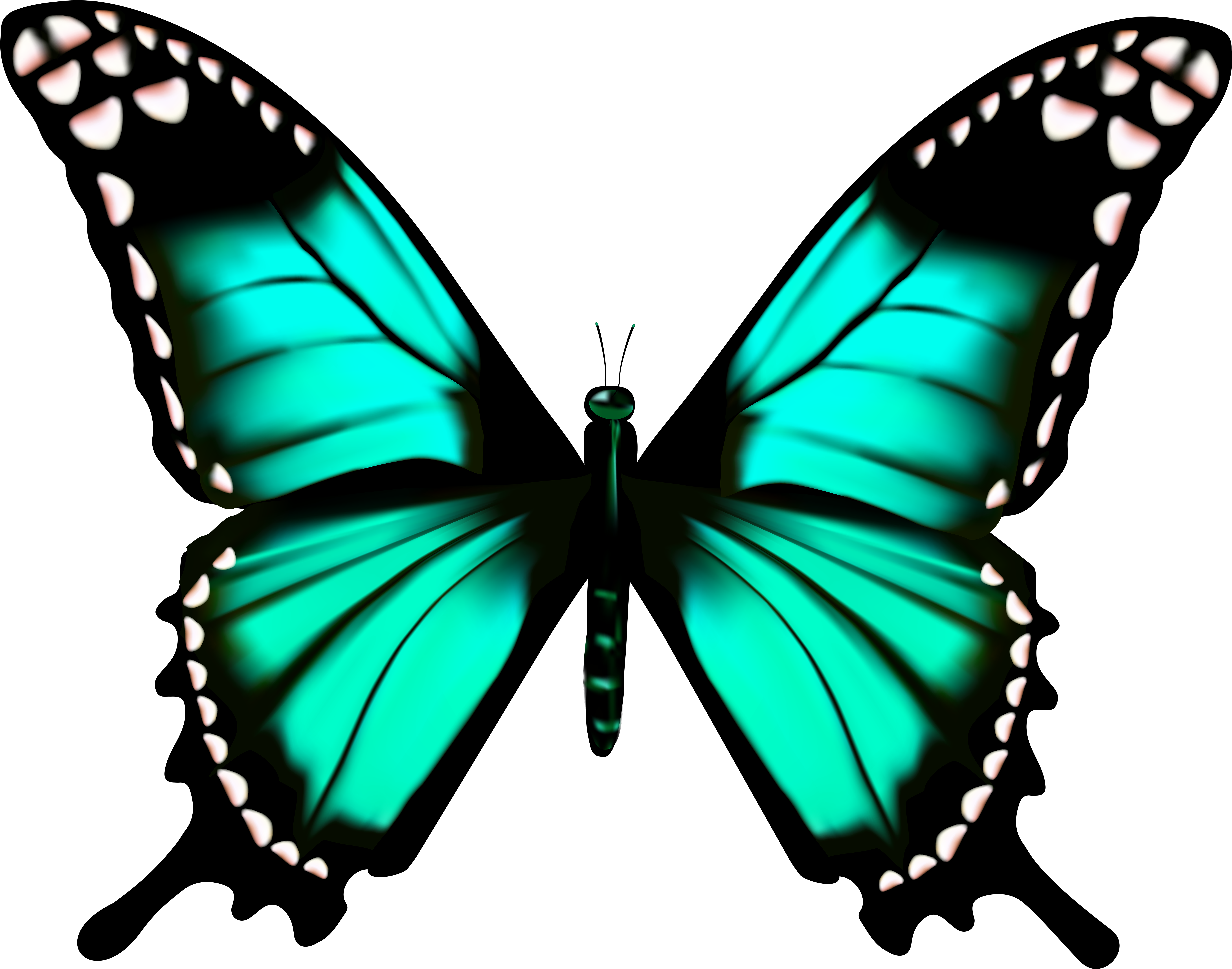 Butterfly Transparent Png Clip Art Imageu200b Gallery - Butterfly Wings Transparent (7000x5503), Png Download
