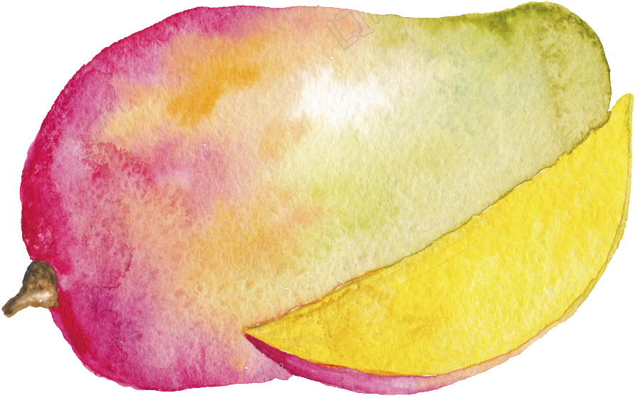 Hand Painted Watercolor Mango Cartoon Transparent Fruit - Fruits Watercolor Png (1024x1024), Png Download