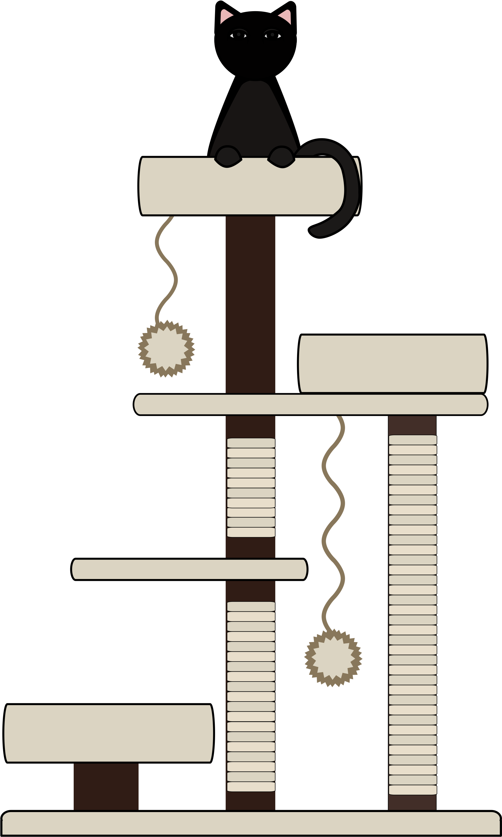 ↑back To Top - Domestic Short-haired Cat (4096x4096), Png Download