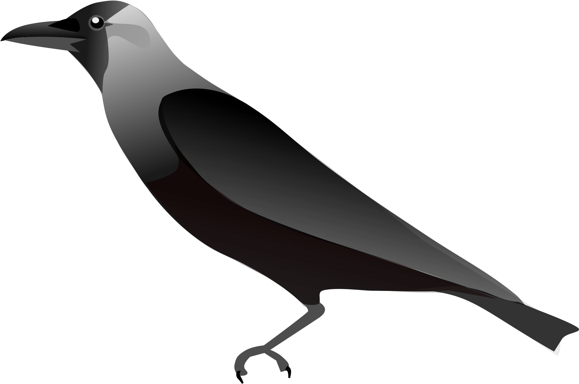 Jpg Royalty Free Library Collection Of Drawing High - Outline Pictures Of Crow (2000x2000), Png Download