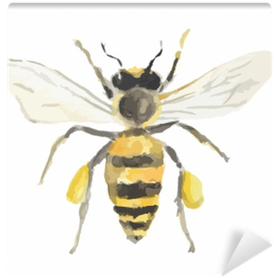 Isolated Watercolor Bee On White Background - Watercolor Painting (400x400), Png Download