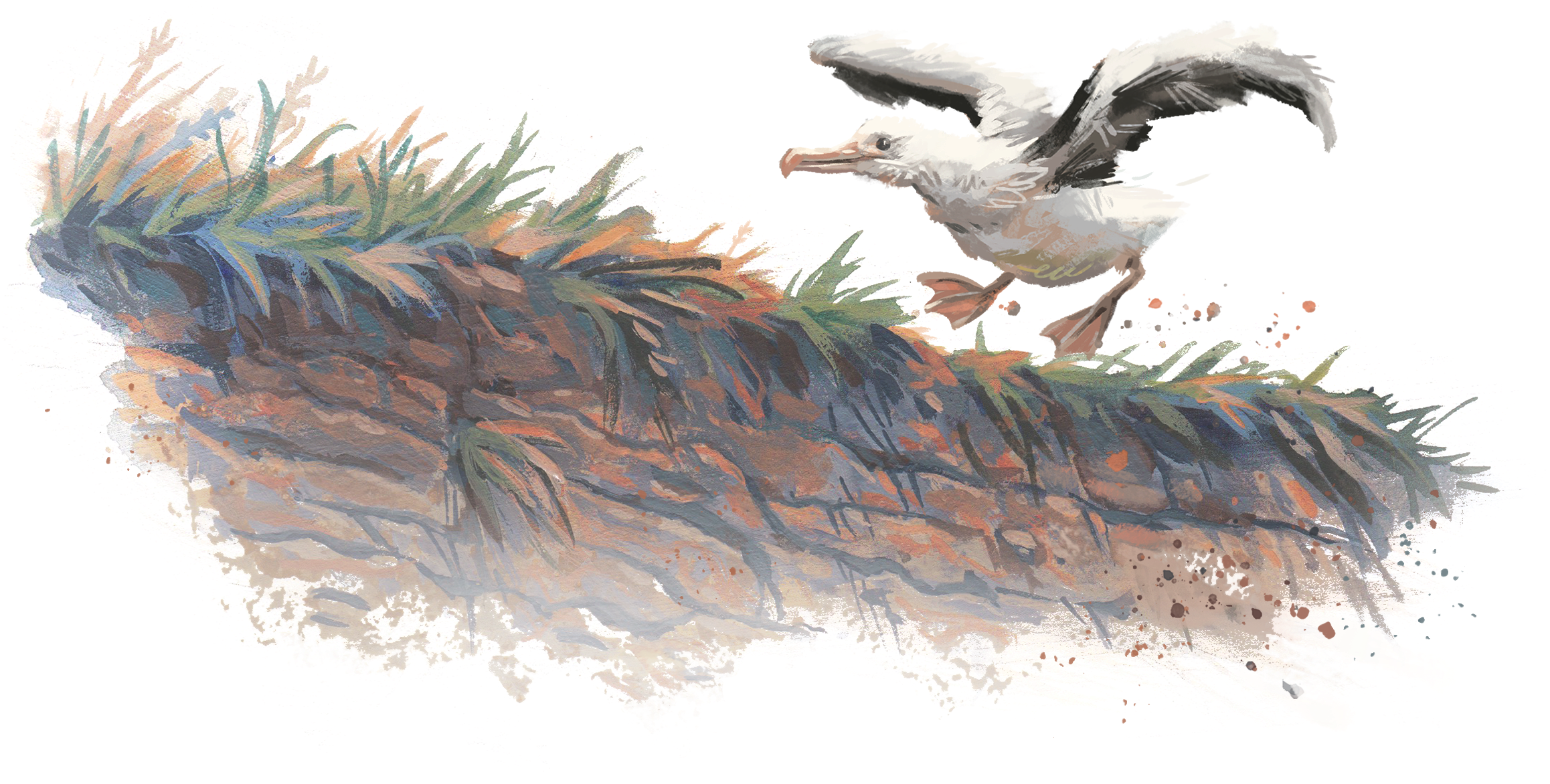 Pages 2 3 Questions - Running (2382x1182), Png Download