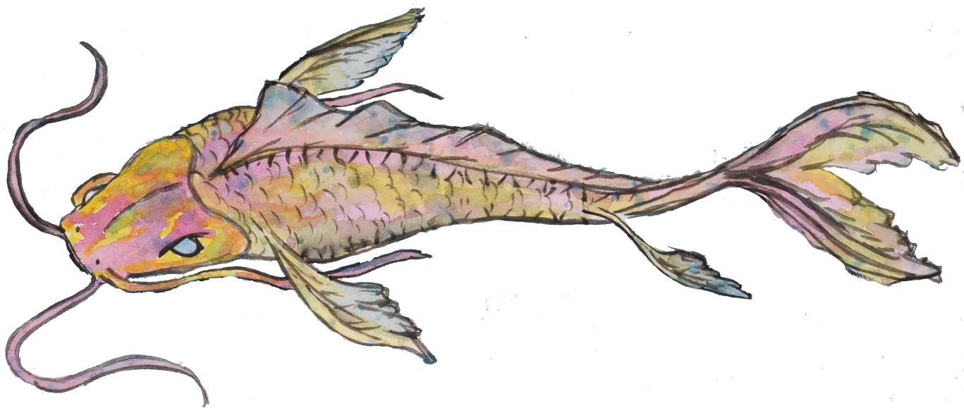 Golden Koi - Catfish (1366x607), Png Download