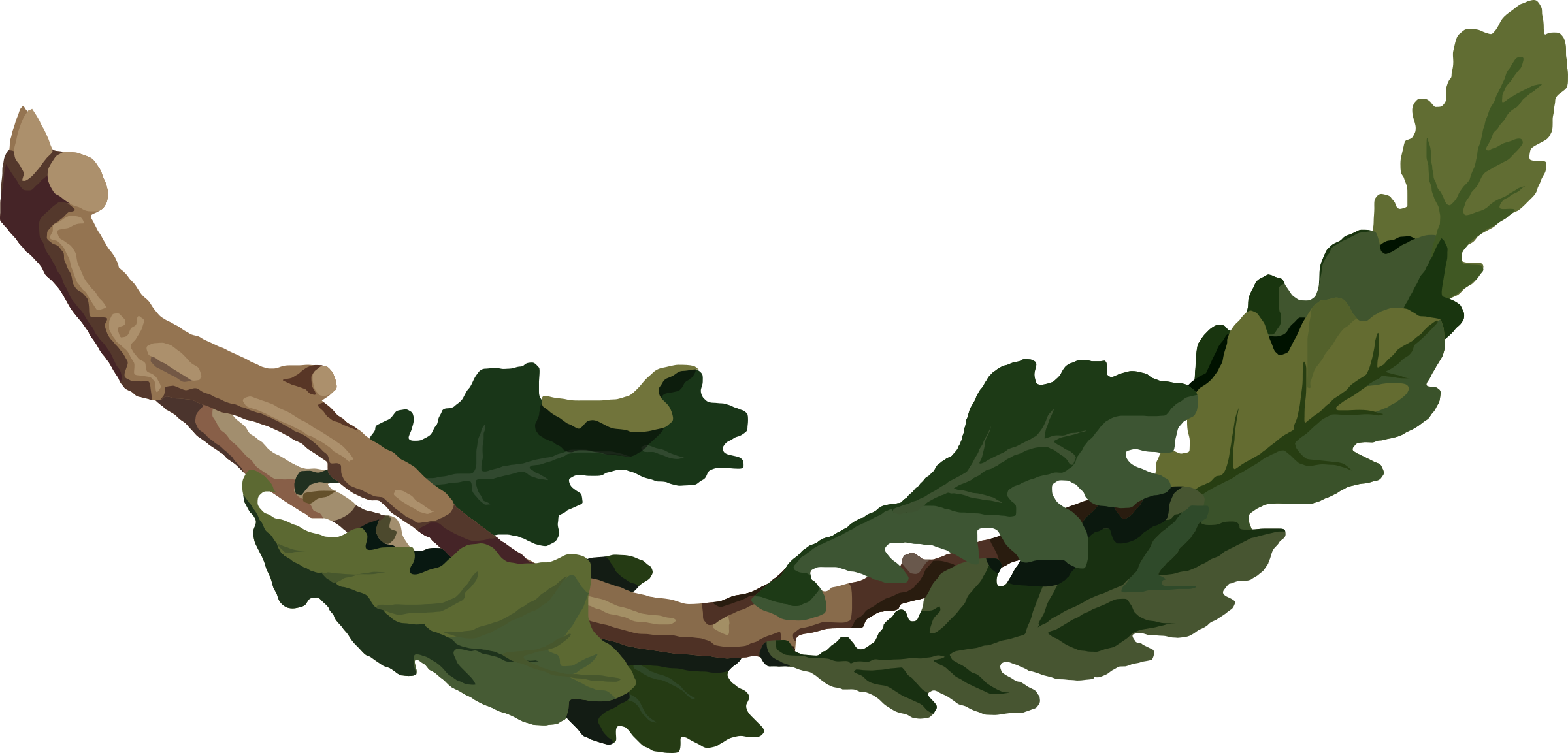 This Free Icons Png Design Of Oak Branch 2 (2400x1153), Png Download