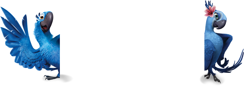Background-birds - Furniture (1023x361), Png Download