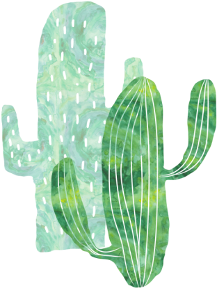 Cactus Watercolor Png - Transparent Watercolor Succulent Png (500x500), Png Download