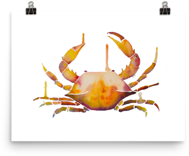 Crab (600x600), Png Download