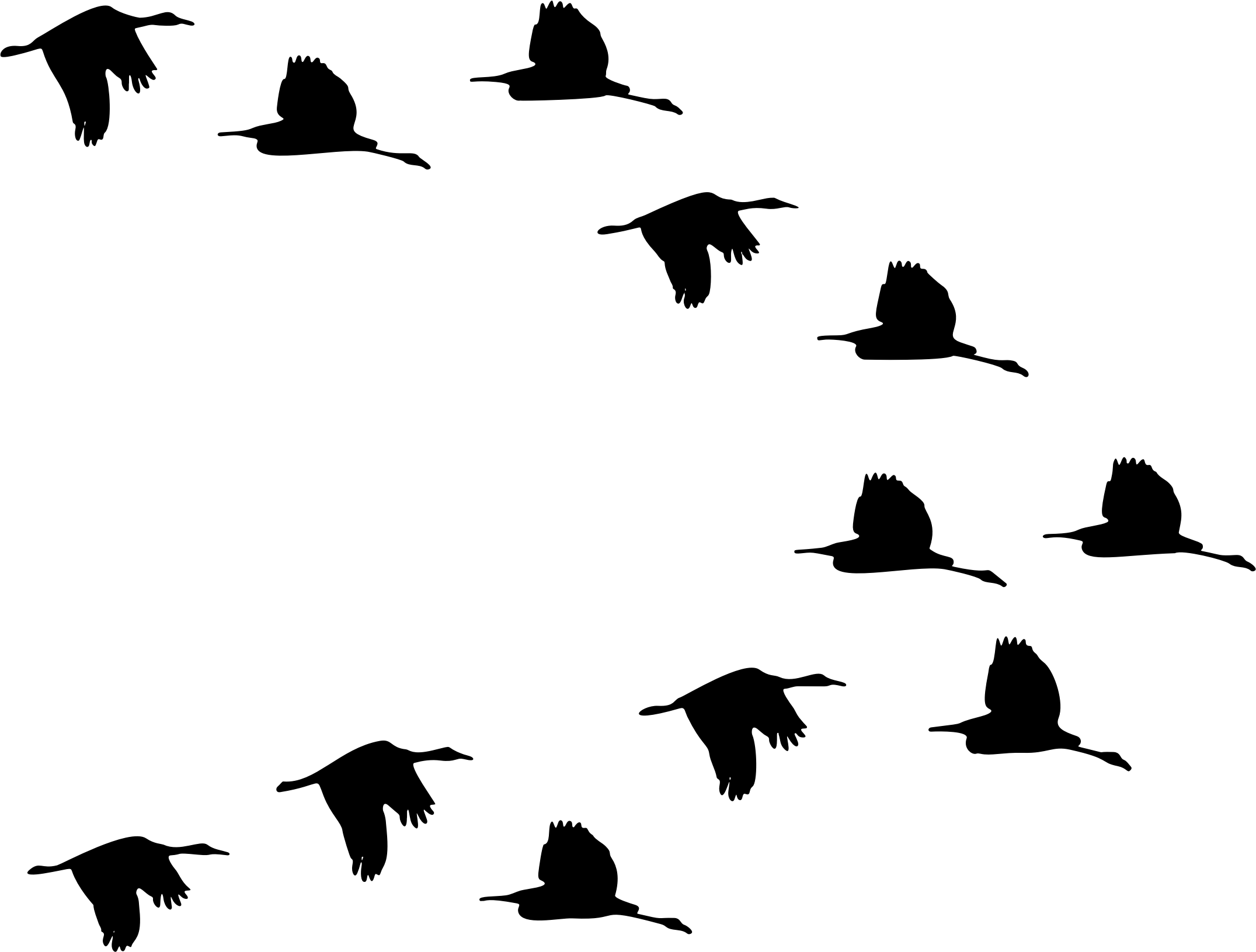 This Free Icons Png Design Of Flock Of Ducks Flying (2151x1630), Png Download