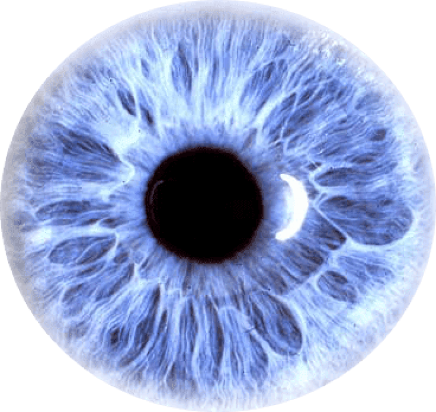 Eye Purple - Eye Png (400x400), Png Download
