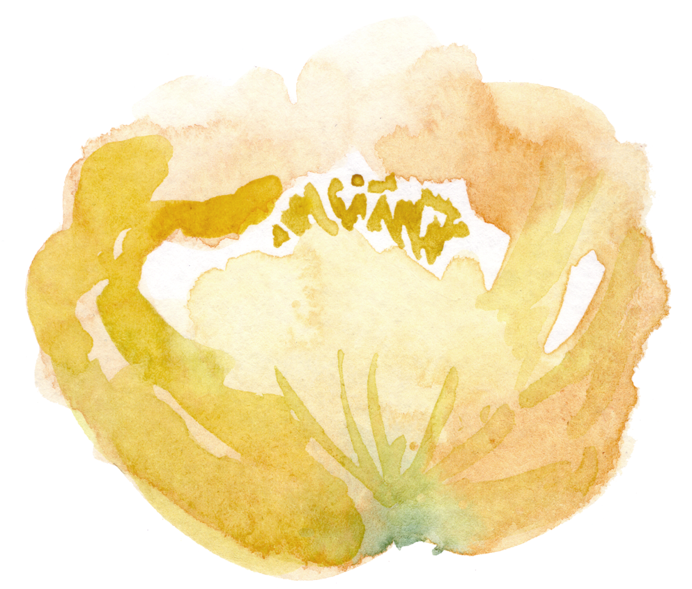 8 Yellow Flower (1000x869), Png Download