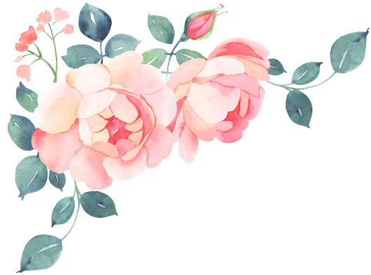 Bougainvillea Drawing Watercolor Graphic Stock - Romantic Roses Watercolor Bouquet (550x425), Png Download