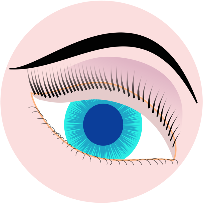 Human Eye Visual Perception Drawing Optics - Optics Eye Clipart (899x750), Png Download