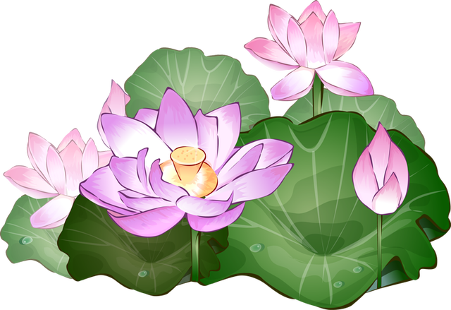 Grab This Free Summer Flower Clip Art - Lotus Flower Clipart Png (640x439), Png Download