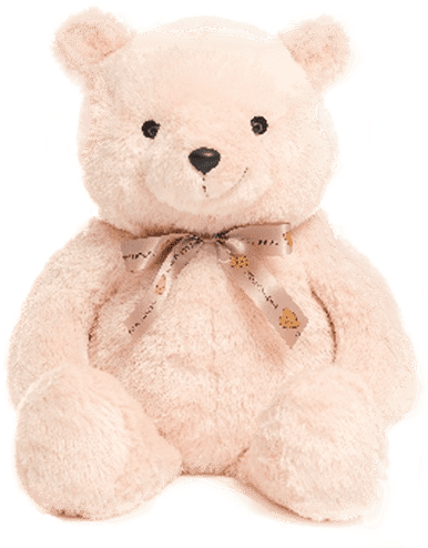 A Caring Companion - Teddy Bear (506x506), Png Download