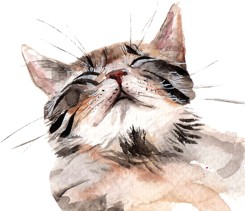 24 Images About Gatos On We Heart It - Watercolours Of Cats (500x500), Png Download