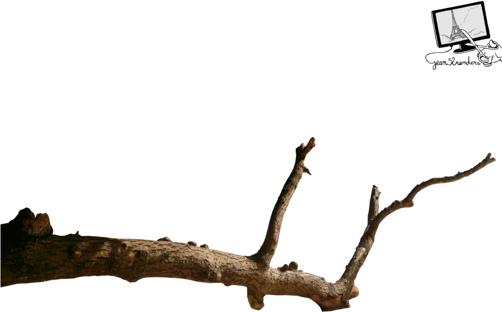 Dead Branch Png - Beau Vallon, Seychelles (1024x768), Png Download