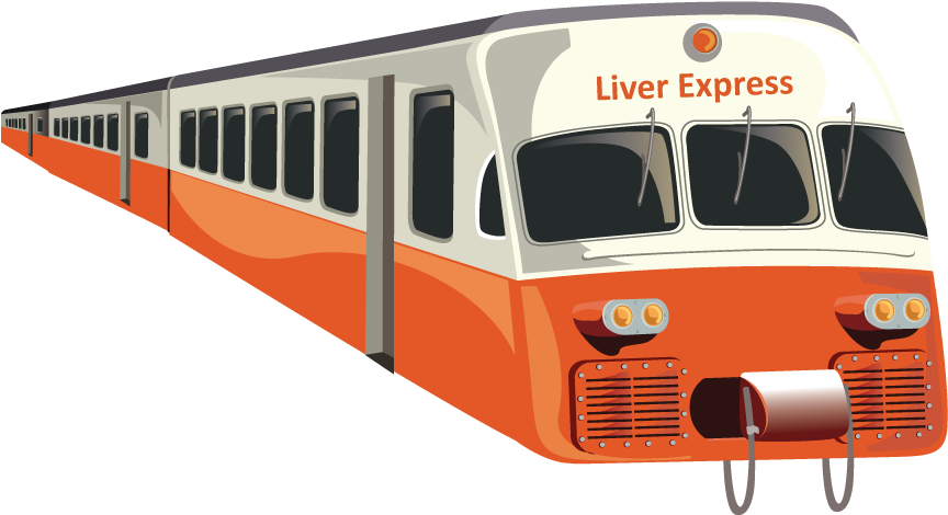 Journey Of A Bilirubin 02 Train - Train (970x660), Png Download