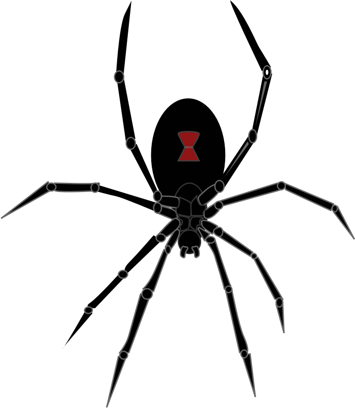 Black Widow Spider - Black Widow Spider Png (695x800), Png Download