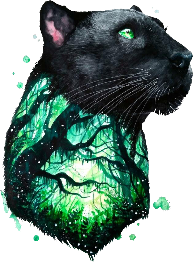 Report Abuse - Pantera Negra Animal Dibujo (632x860), Png Download
