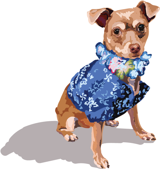 Haley's Weapon Of Choice Is Watercolor, But Often Enjoys - Chihuahua (612x792), Png Download